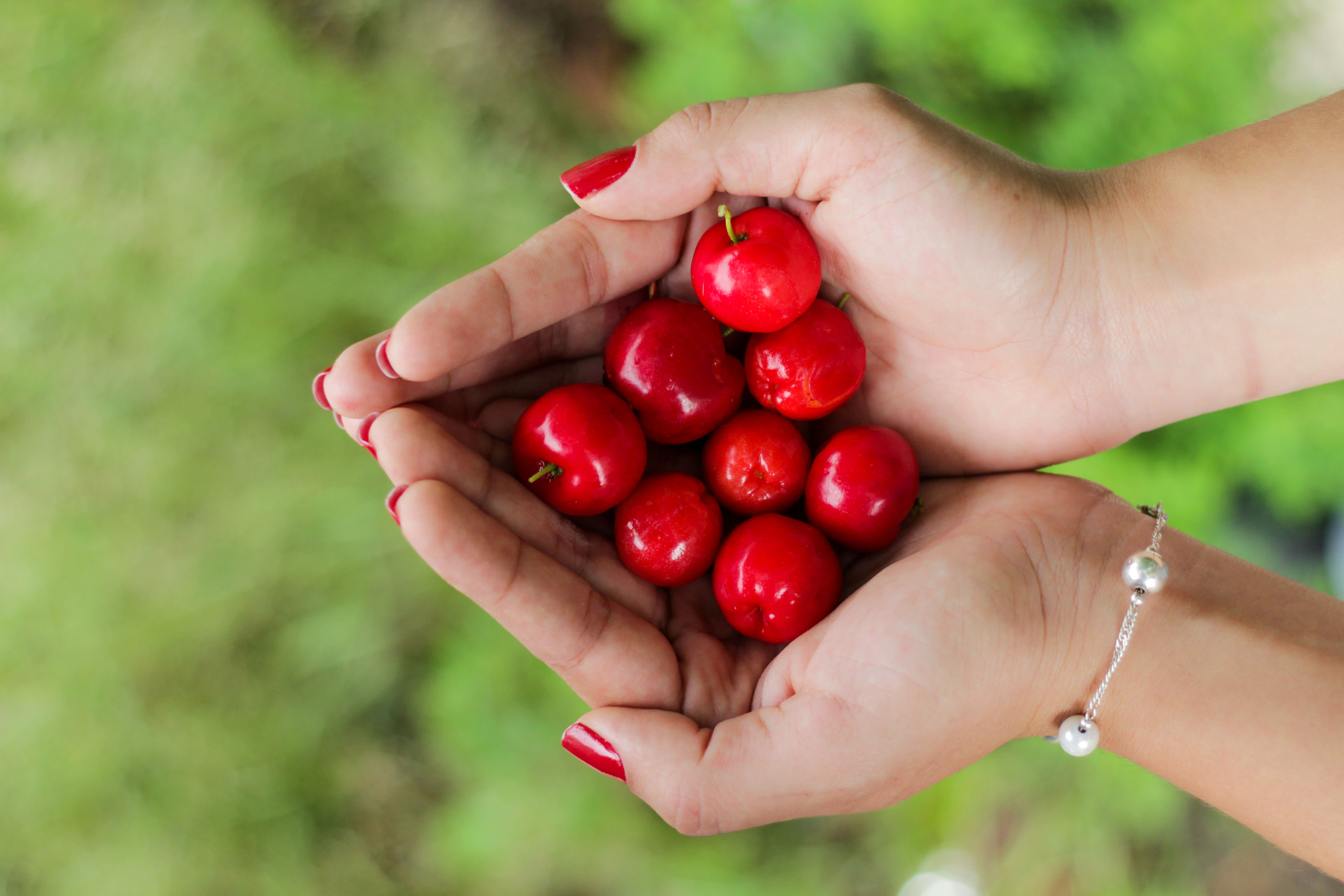 woman holding cherries in both hands because of someones cherry tree legacy