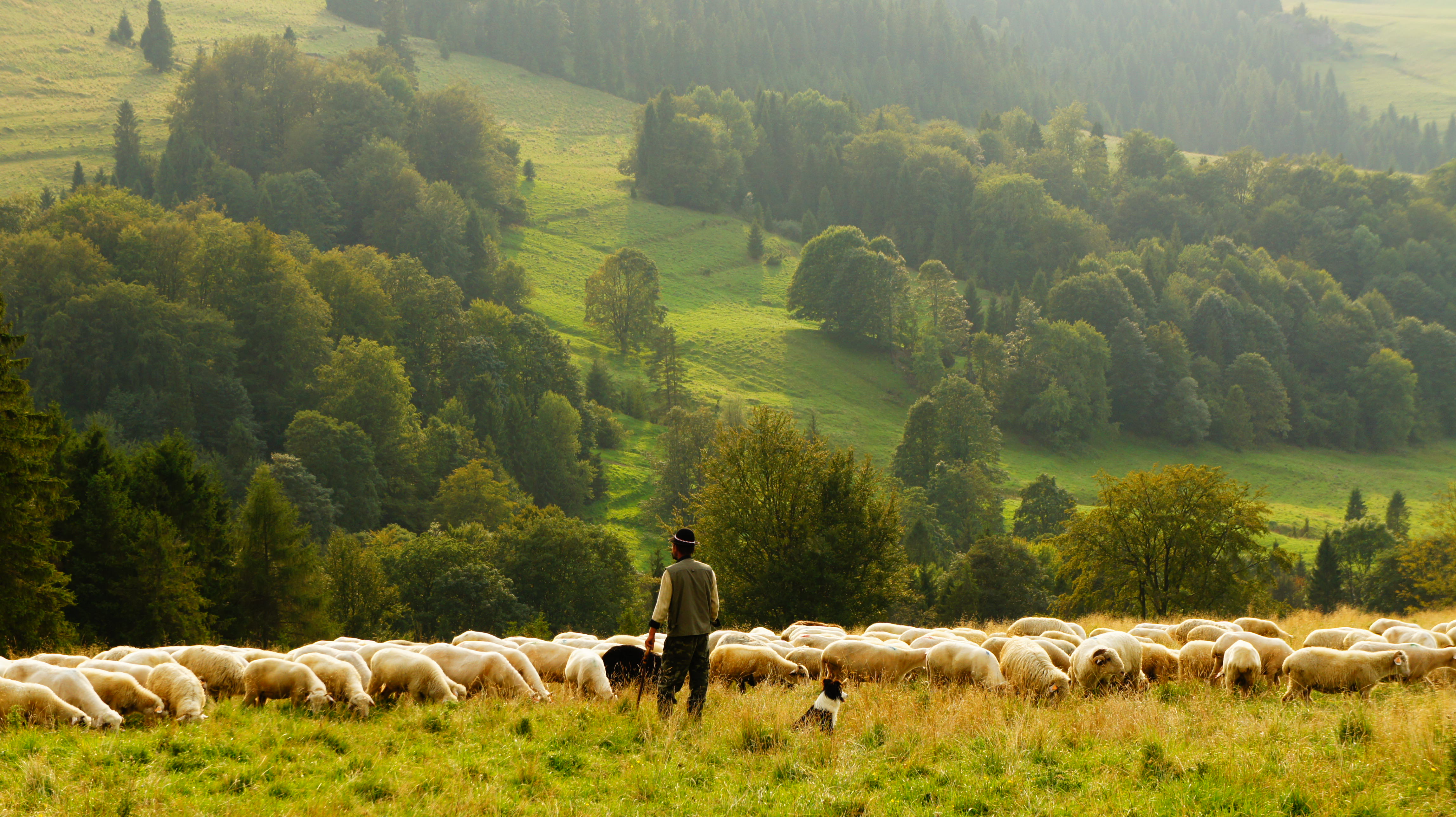 Read more about the article How To Build Pastoral Leadership